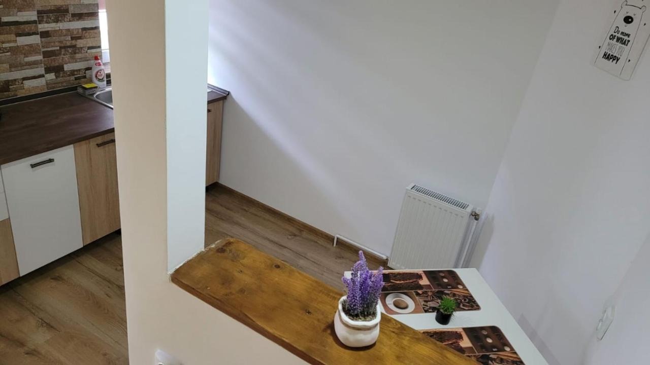 ホテル Casa Shiro シナヤ エクステリア 写真