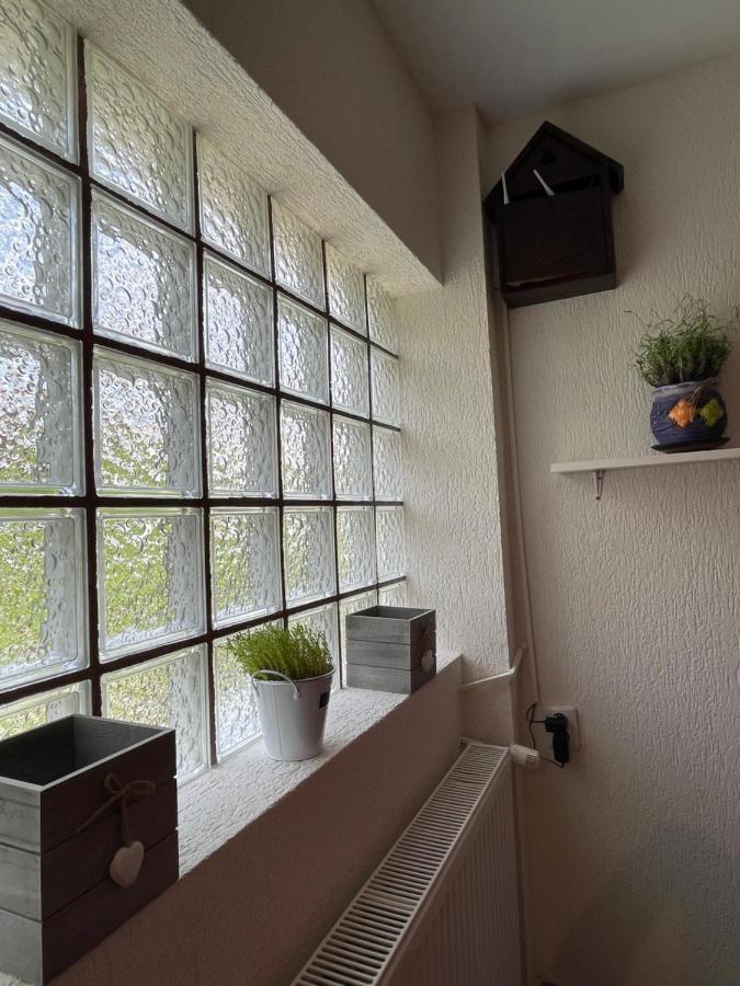 ホテル Casa Shiro シナヤ エクステリア 写真