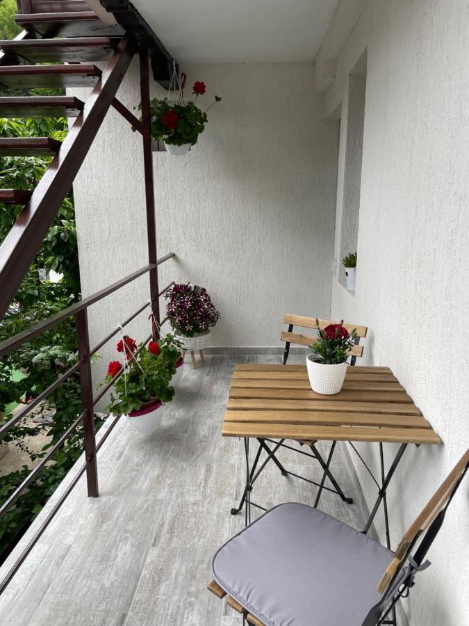 ホテル Casa Shiro シナヤ エクステリア 写真